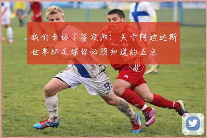 我们专访了鉴定师：关于阿迪达斯世界杯足球你必须知道的五点