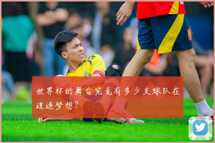 世界杯的舞台究竟有多少支球队在追逐梦想？