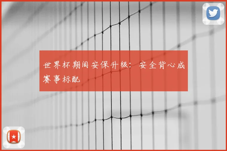 世界杯期间安保升级：安全背心成赛事标配