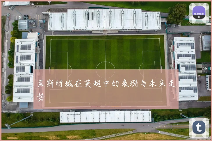 莱斯特城在英超中的表现与未来走势