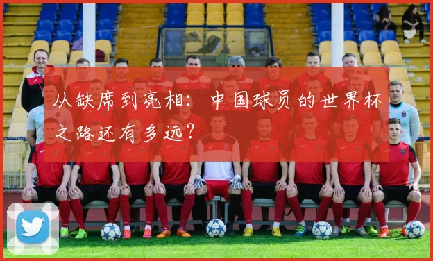 从缺席到亮相：中国球员的世界杯之路还有多远？