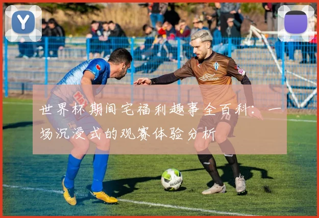 世界杯期间宅福利趣事全百科：一场沉浸式的观赛体验分析