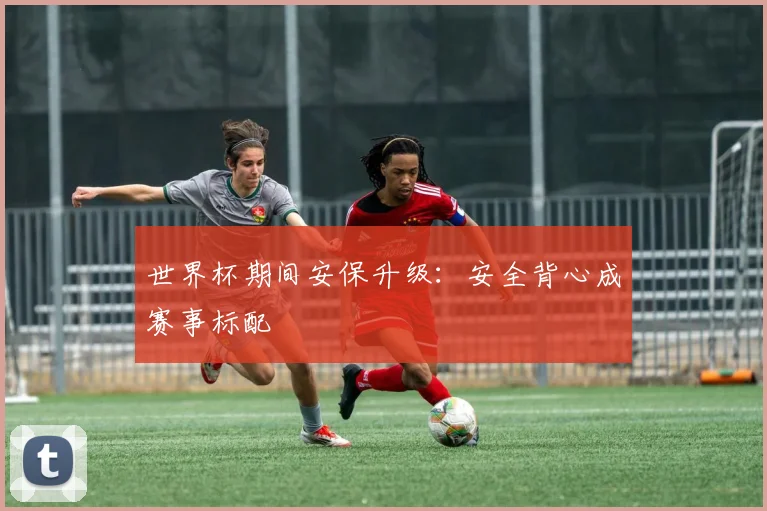 世界杯期间安保升级：安全背心成赛事标配